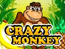 Crazy Monkey на зеркале клуба