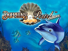 Dolphin's Pearl Deluxe на зеркале клуба