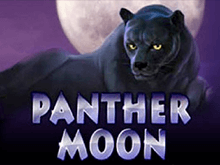 Автомат Panther Moon на деньги